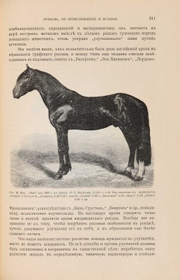 Урусов С.П. Книга о лошади. В 2 тт. СПб.: Деятель, [1911]-[1912]. 